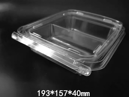 cake container with lid clear rectangle plastic blister bread box disposable pastry snack clamshell box
