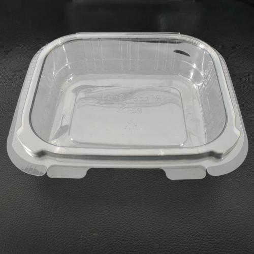 8oz 12oz 16oz 24oz 32oz 48oz plastic deli Boxes With Clear Lids Food Clamshell Box Disposable pet Fruit Packaging Food Container