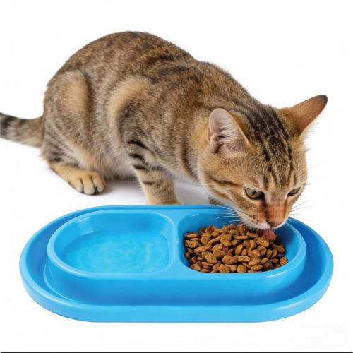 Customized insect proof and flip proof disposable plastic PET transparent blister outdoor pet rice bowl