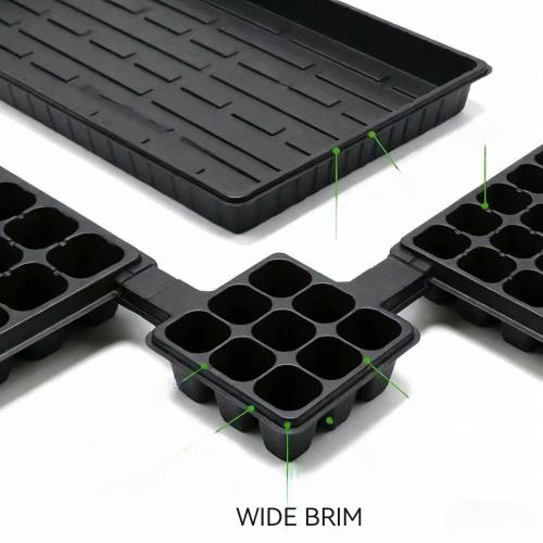 OEM Disposable Black PP Blister Plant Tray