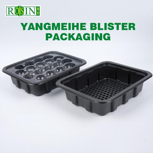Plastic Trays