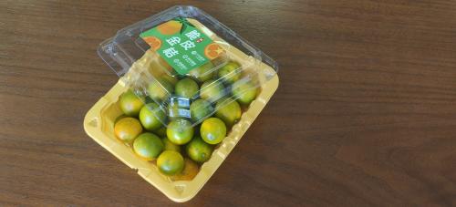 Custom Two Tone Clamshell Fruit Container for Kumquat Breathable Tamper Evident Blister Pack