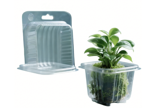 Biodegradable Clamshell Plant Packaging with Hang Hole