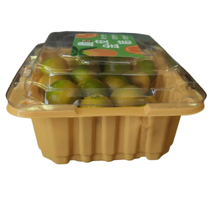 Plastic Trays