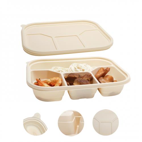 Plastic Trays