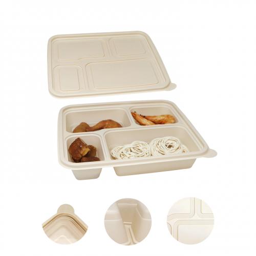 Plastic Trays