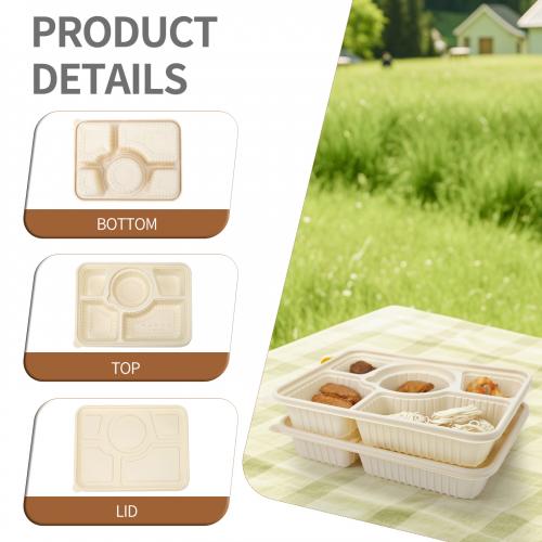 Customized food grade environmentally friendly corn starch based biodegradable microwave lunch box with 5 compartments and 1200ml large capacity with lid