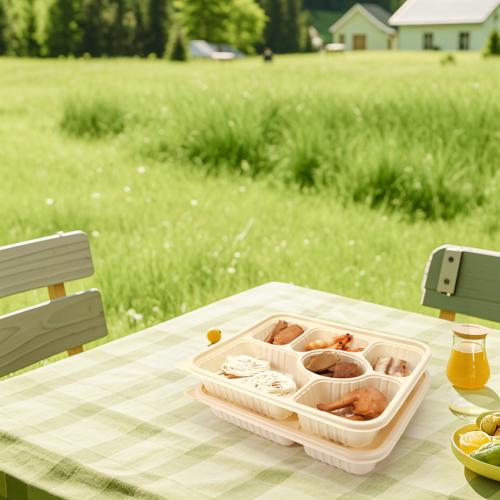Customized corn starch based takeaway food box 6 compartment lunch box with lid