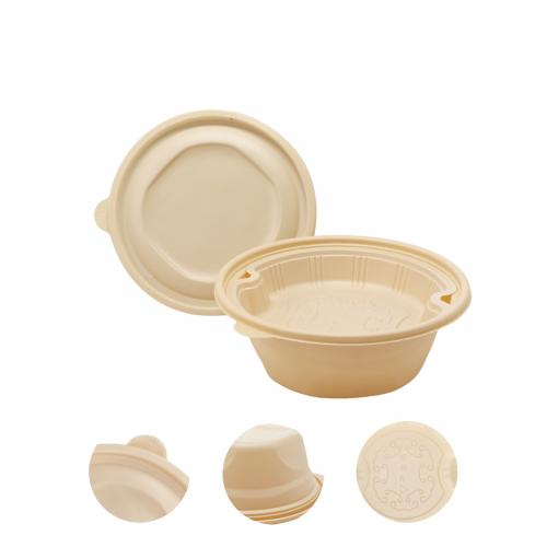 Plastic Trays