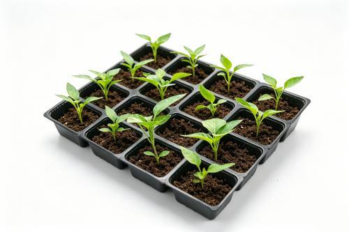 Rosinpack 16 grid removable seedling tray detachable mini rectangular micro seedling growth tray
