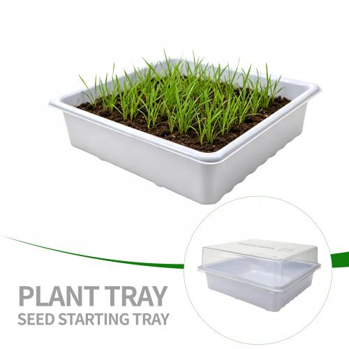 Plastic Trays