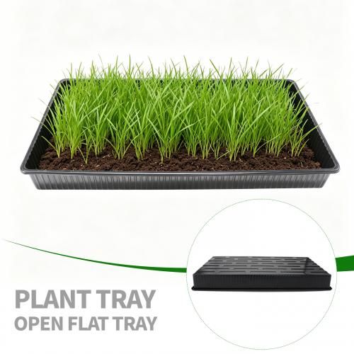 Black Plastic Seedling Trays PS/PET/PP Flat Rectangular Vacuum Formed Seedling Trays with Holes / Without Holes