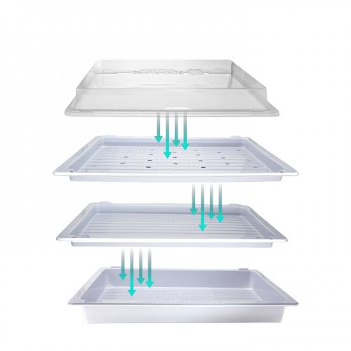 Plastic Trays
