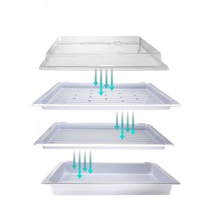 Plastic Trays
