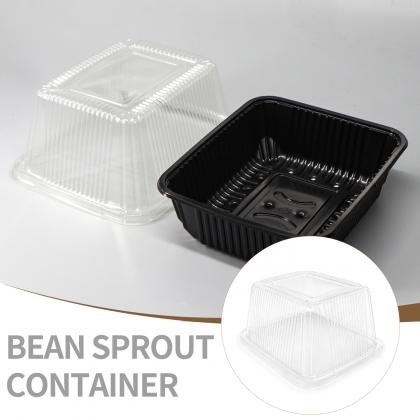Plastic Trays