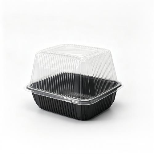 Customized PS black perforated bottom holder PET transparent high cover soilless hydroponic bean sprouts and cat grass cultivation box
