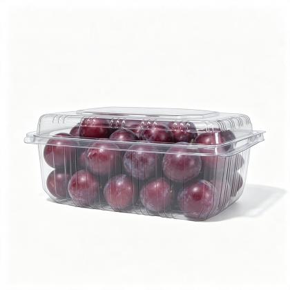 Plastic Trays
