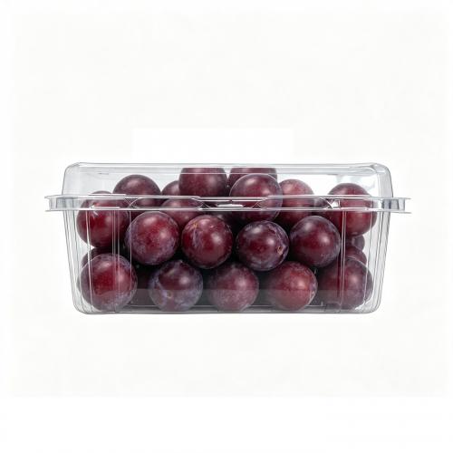 Plastic Trays