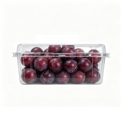 Plastic Trays