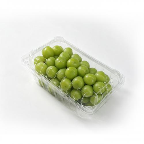 Plastic Trays