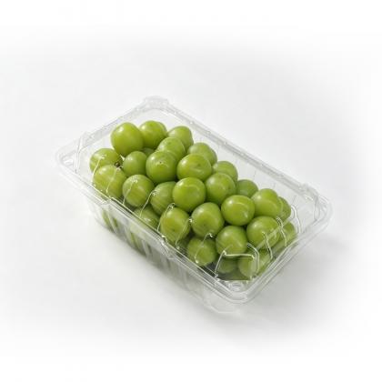 Plastic Trays