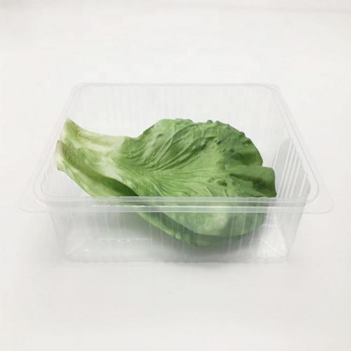 Disposable Clear Plastic Blister Fruit Tray Food Grade PET Clamshell Fruit Punnet for Fresh Fruit Vegetable Packaging Custom Logo