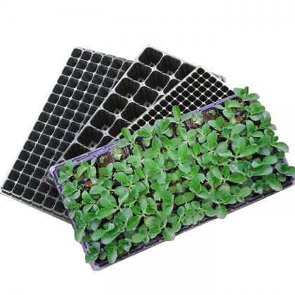 plastic tray
