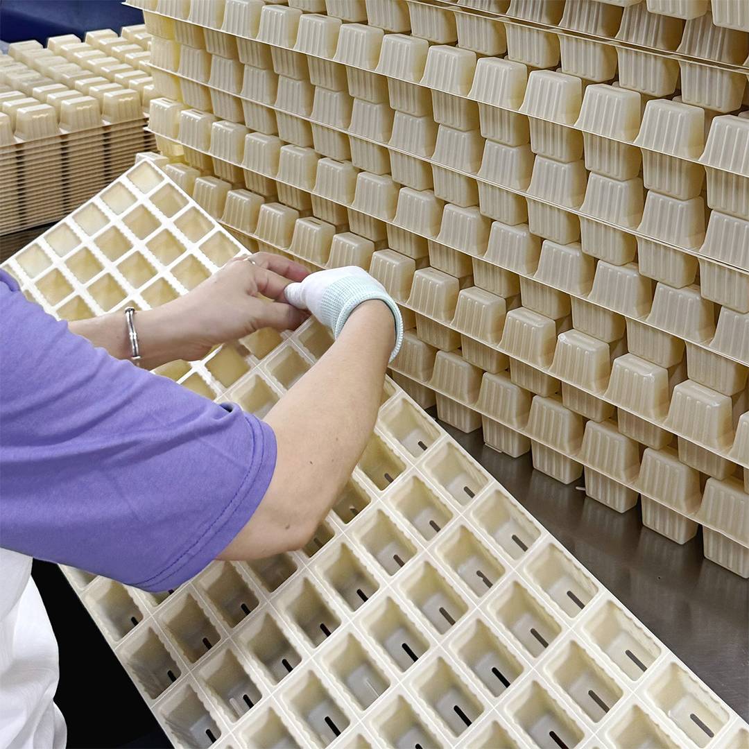 Say goodbye to plastic pollution! Rosinpack starch fully degradable seedling tray officially goes into mass production, perfectly replacing traditional plastic seedling trays