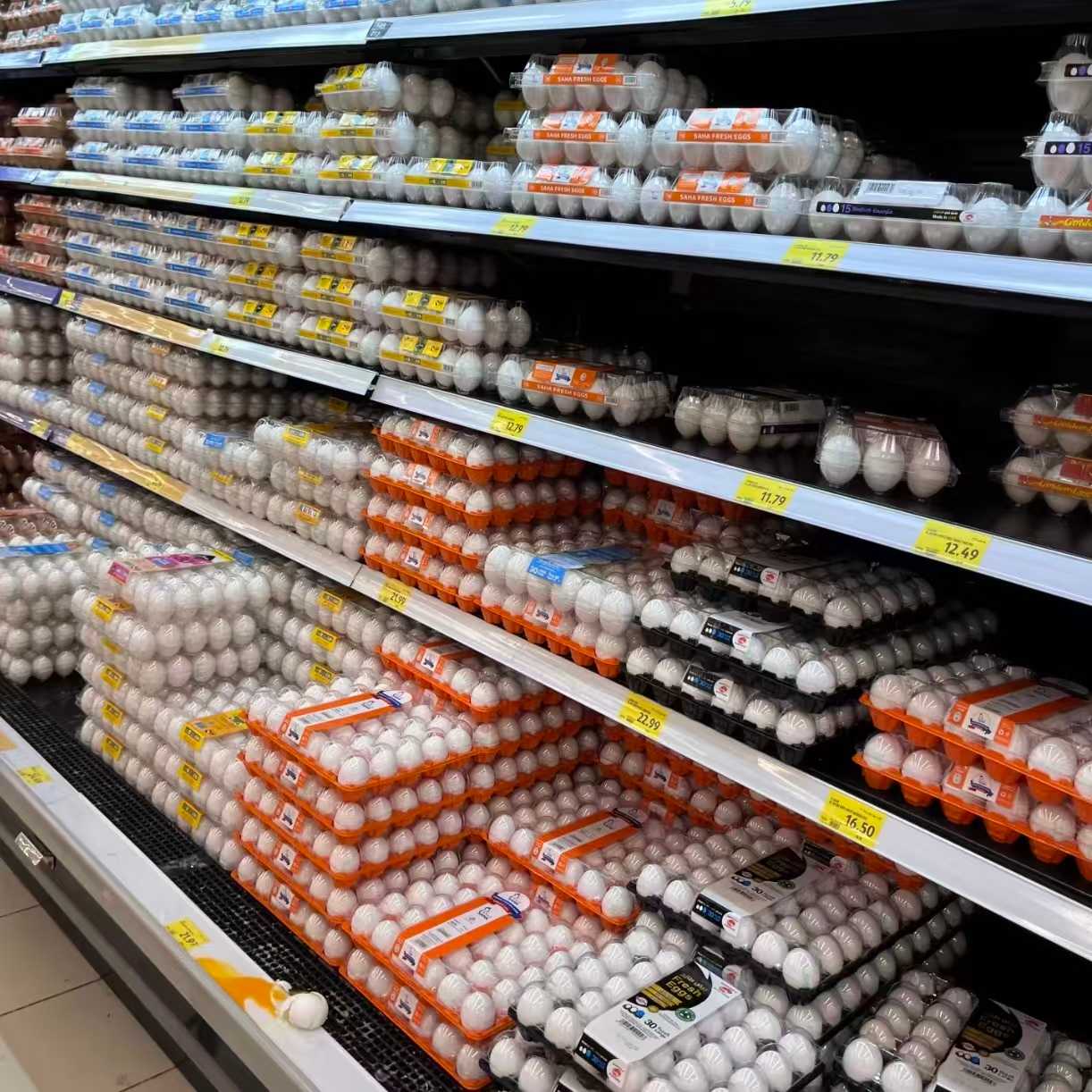 Has the price of eggs increased? Has the price of egg packaging increased?